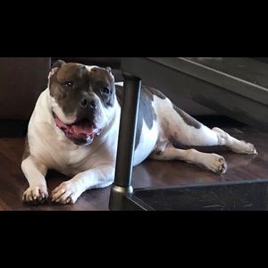 Meet your Posher, Chad